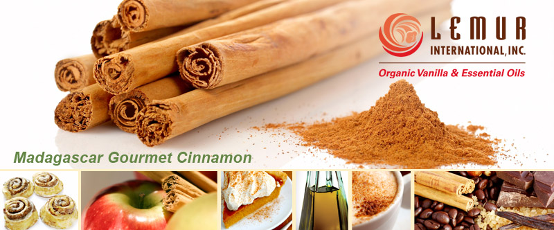 Madagascar Cinnamon